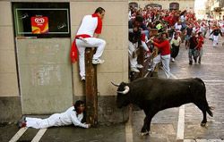 bull_trouble