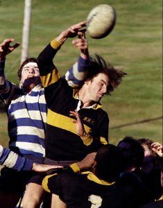 rugby