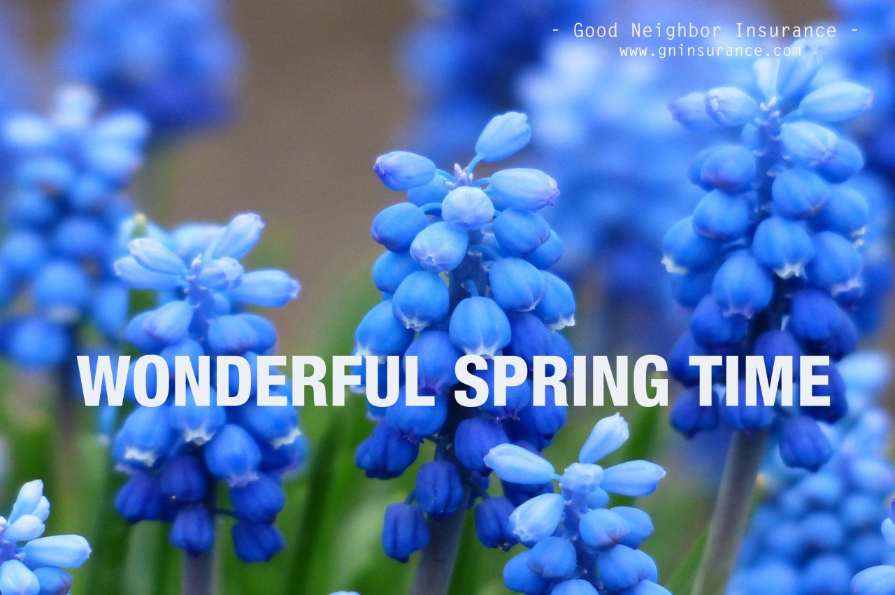 Embedded and Nonembedded Deductibles