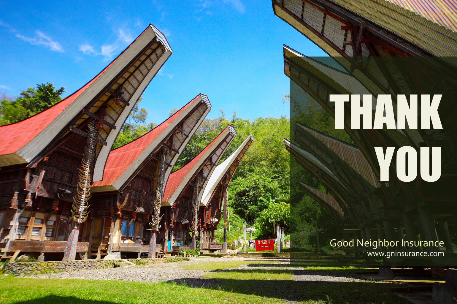 Trawick International travel medical insurance Good