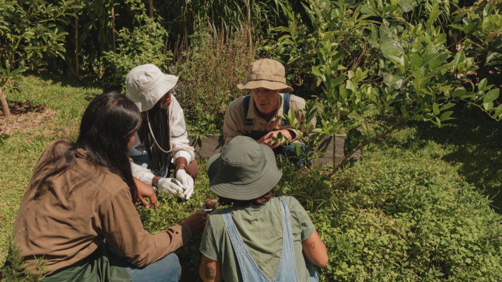 Volunteer working in Group